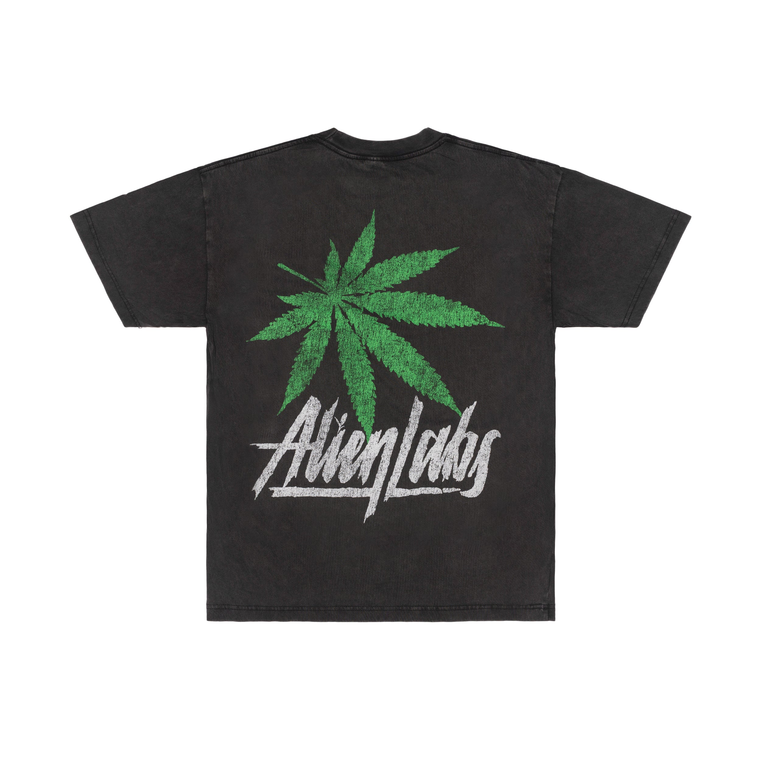 Chronic 2069 T-Shirt (Vintage Black)