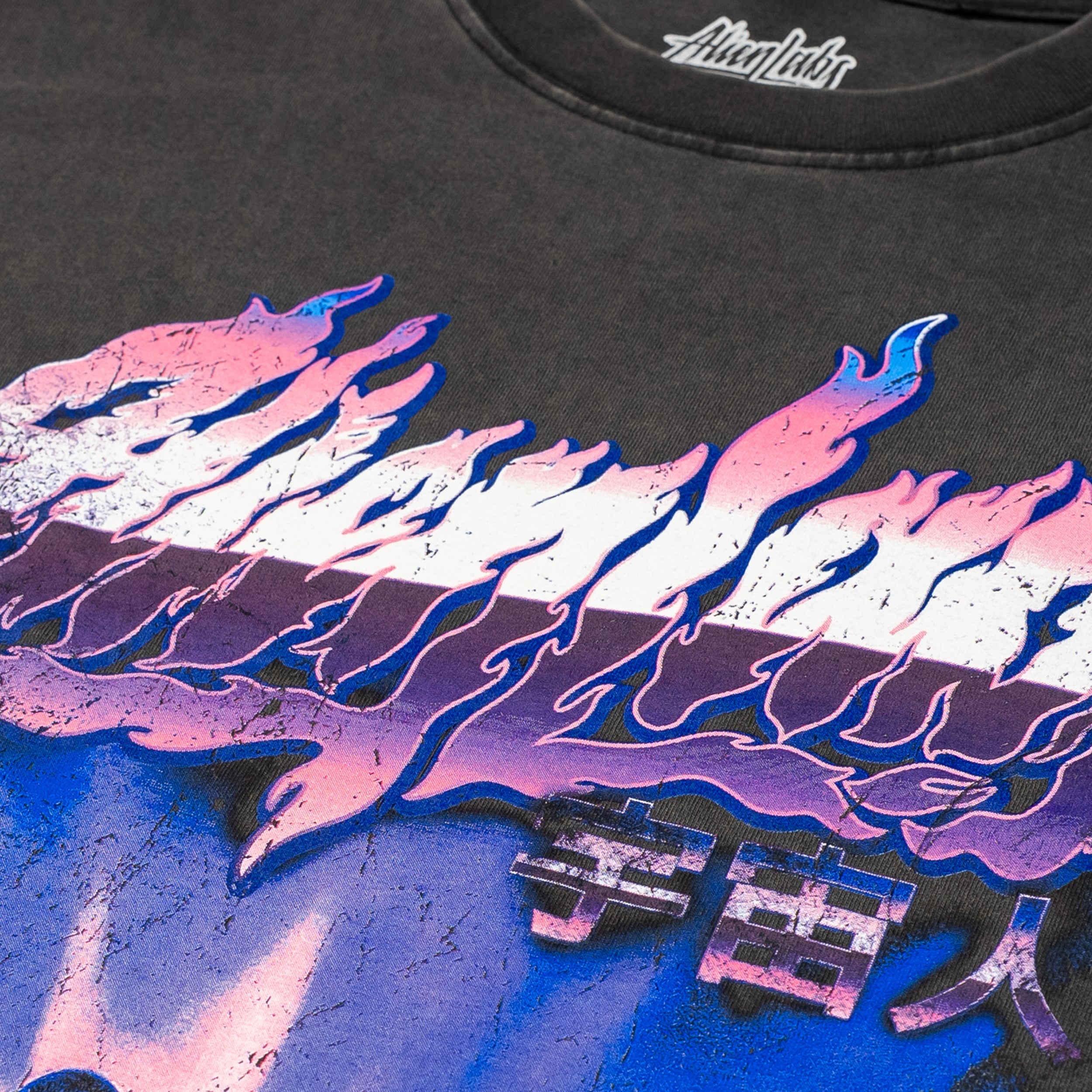 AlienLabs World Tour T-Shirt (Vintage Black)