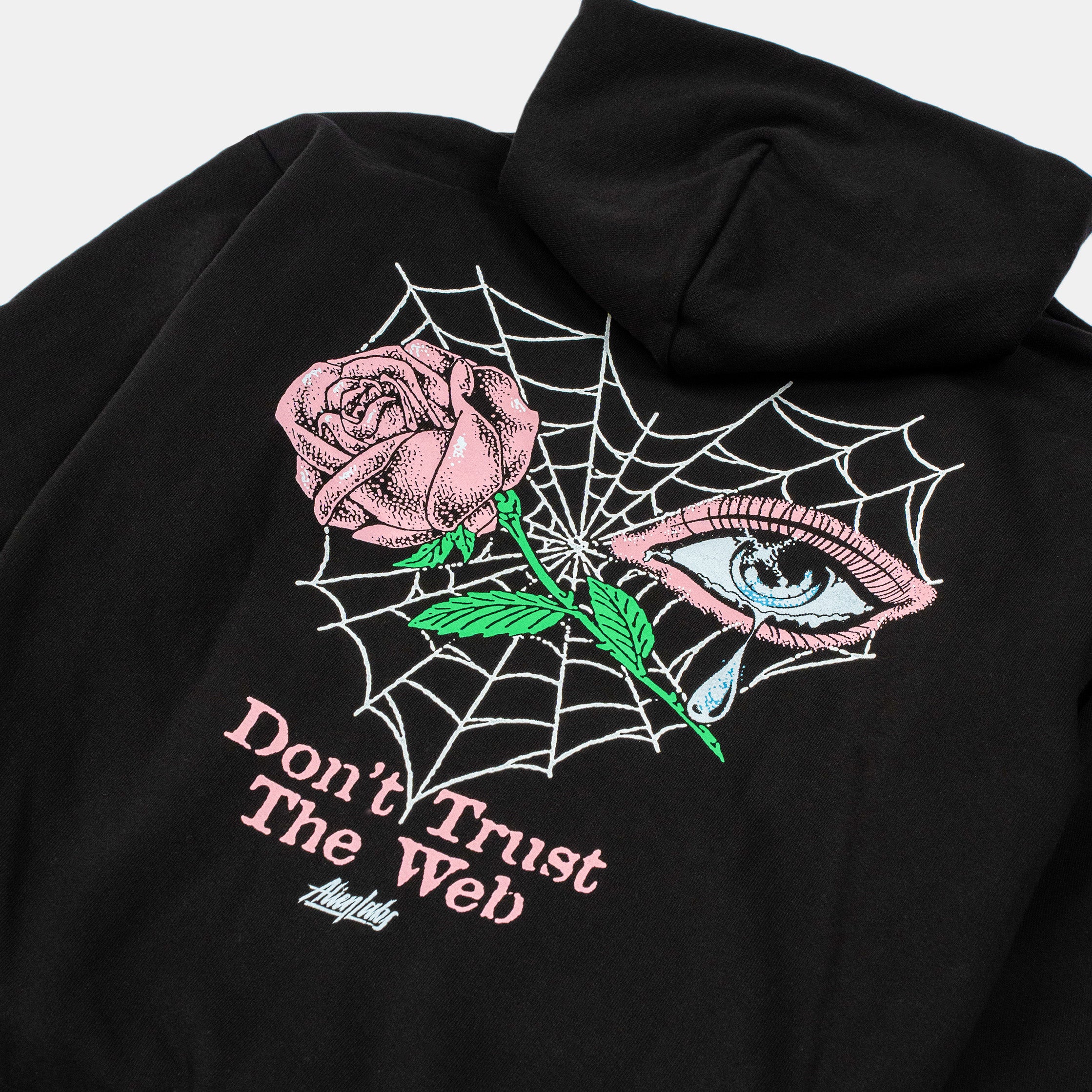 Don't Trust the Web Hoodie (Black)