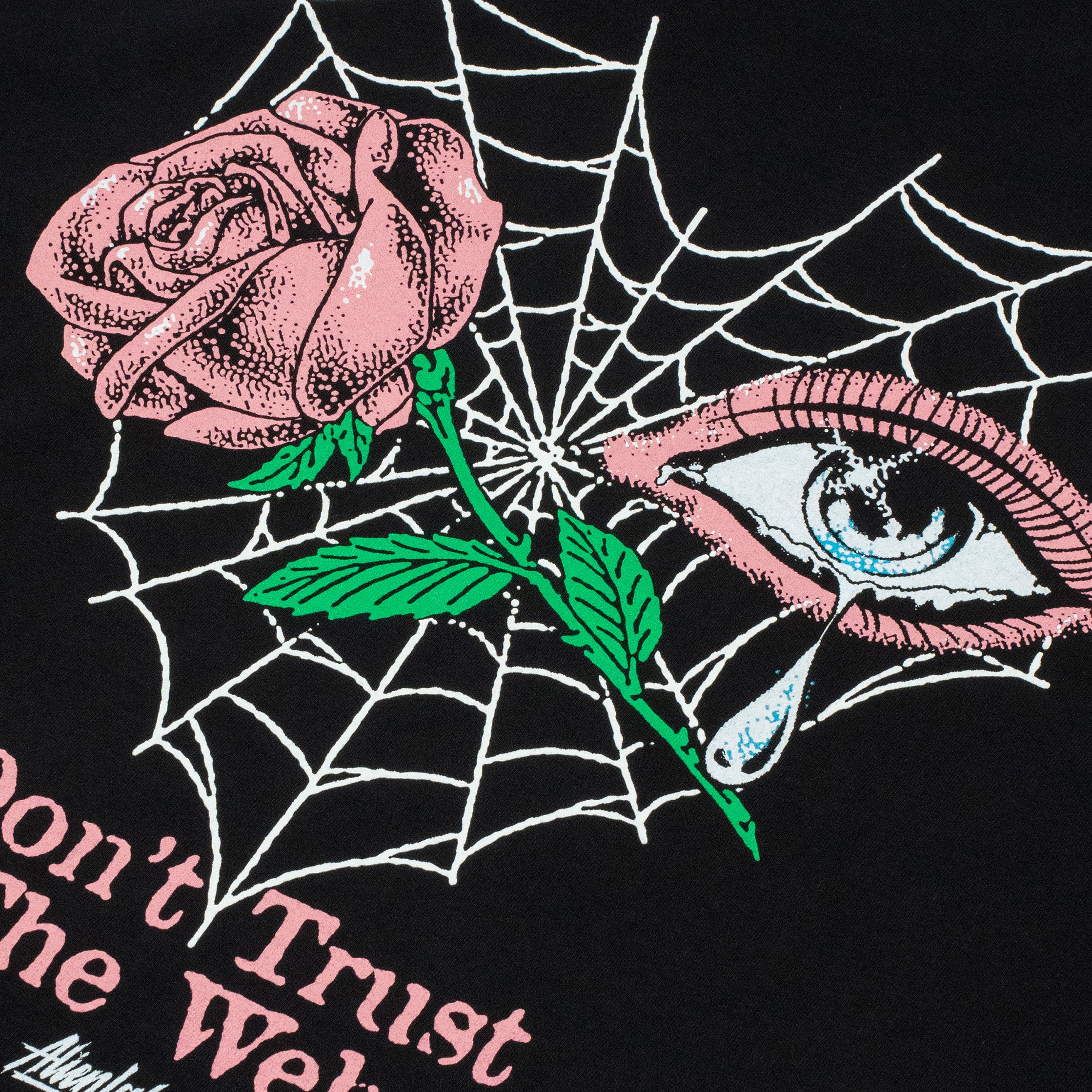 Don't Trust the Web T-Shirt (Black)