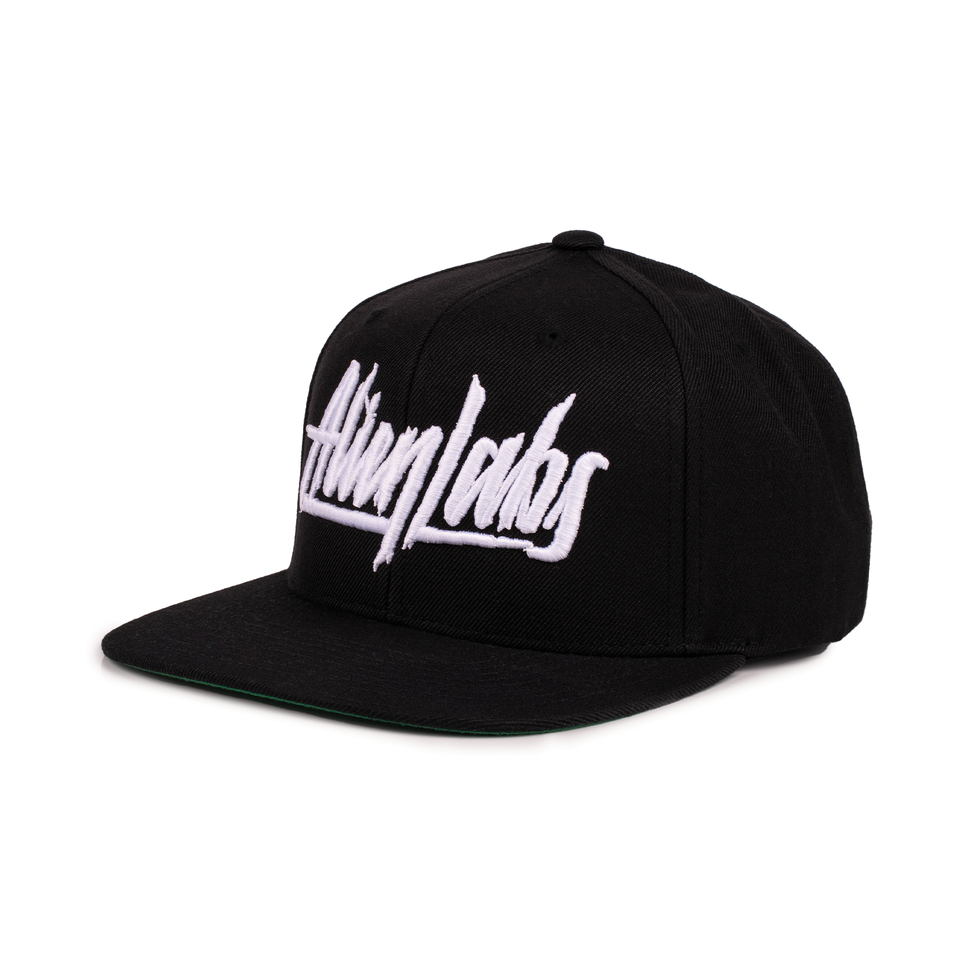 AlienLabs Logo 6 Panel Snapback Hat (Black/White)