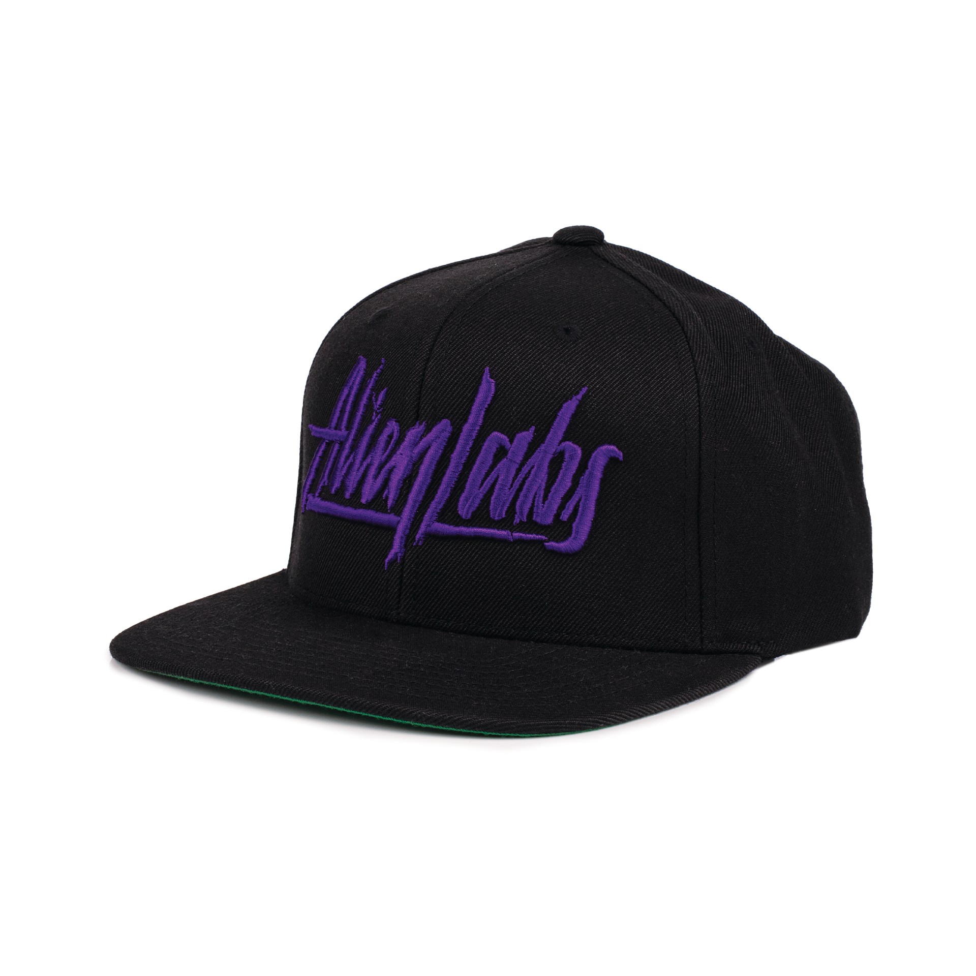 AlienLabs Logo 6 Panel Snapback Hat (Black/Purple)