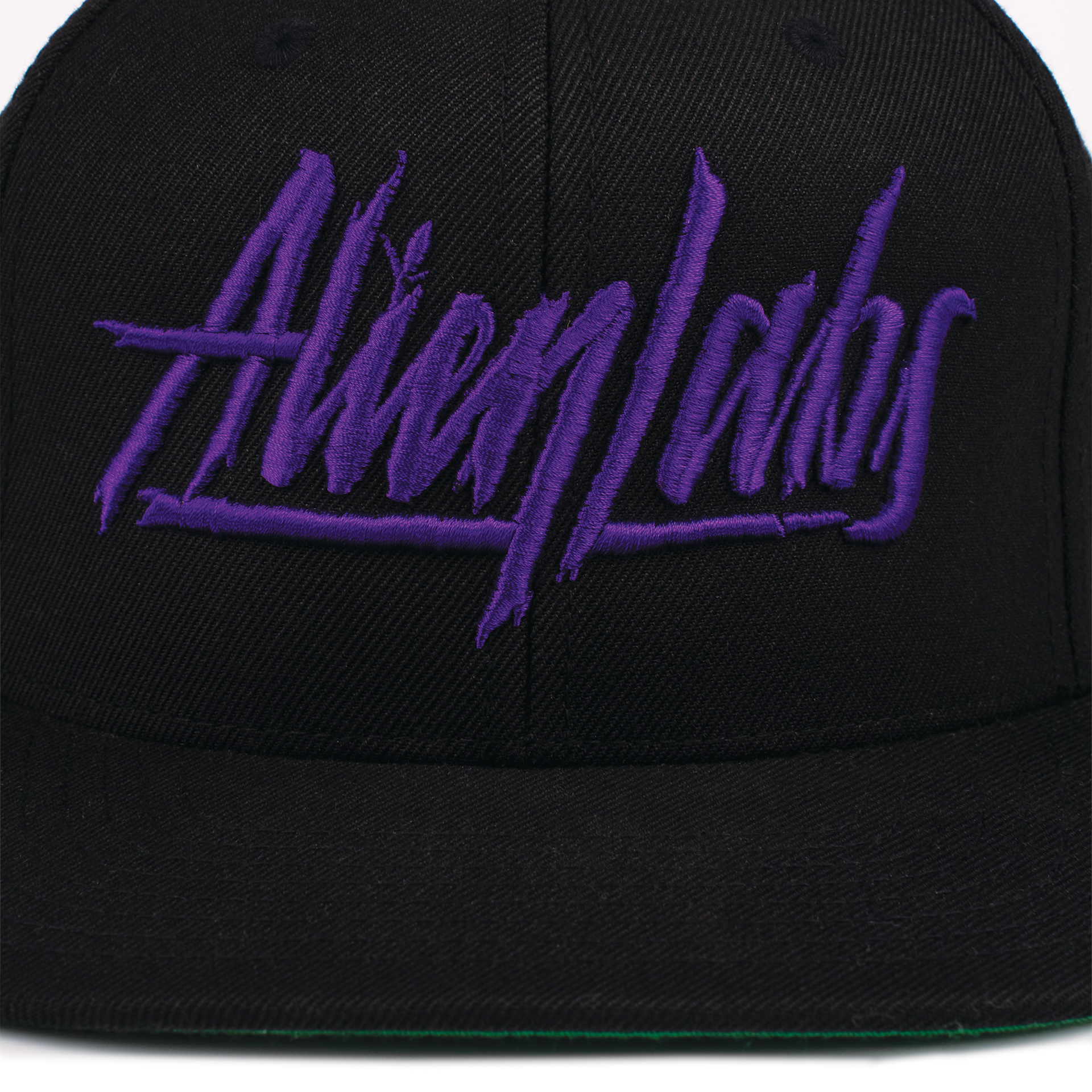 AlienLabs Logo 6 Panel Snapback Hat (Black/Purple)