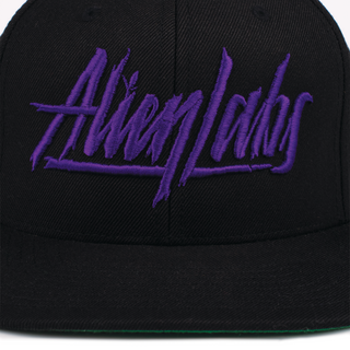 AlienLabs Logo 6 Panel Snapback Hat (Black/Purple)