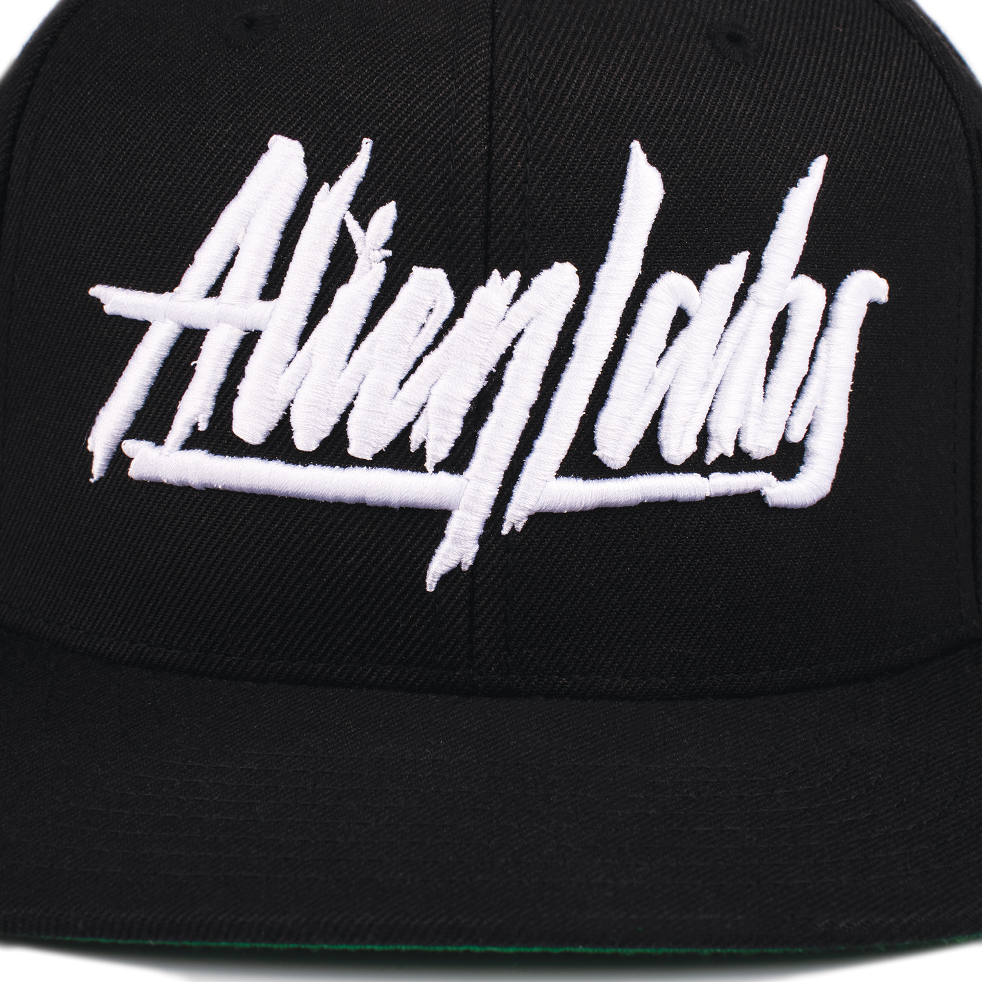 AlienLabs Logo 6 Panel Snapback Hat (Black/White)