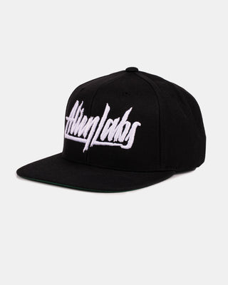 AlienLabs Logo 6 Panel Snapback Hat (Black)