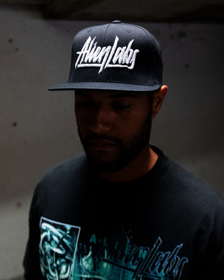 AlienLabs Logo 6 Panel Snapback Hat (Black)