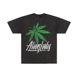 Chronic 2069 T-Shirt (Vintage Black)