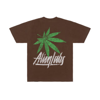 Chronic 2069 T-Shirt (Cocoa Brown)