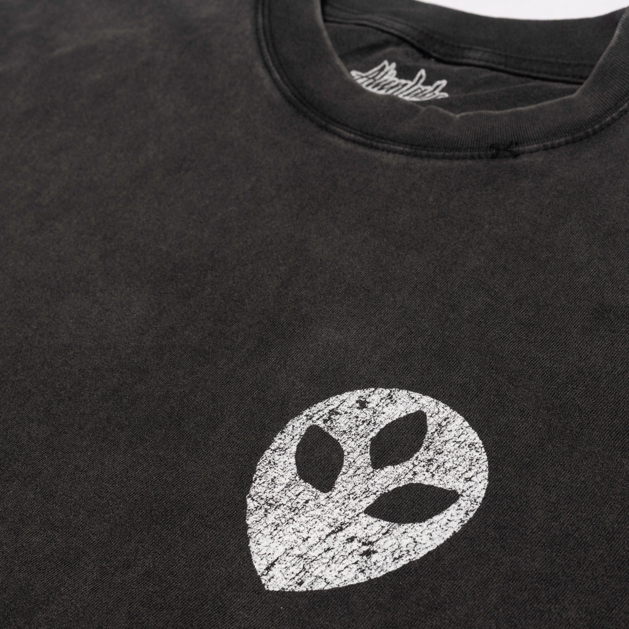 Chronic 2069 T-Shirt (Vintage Black)