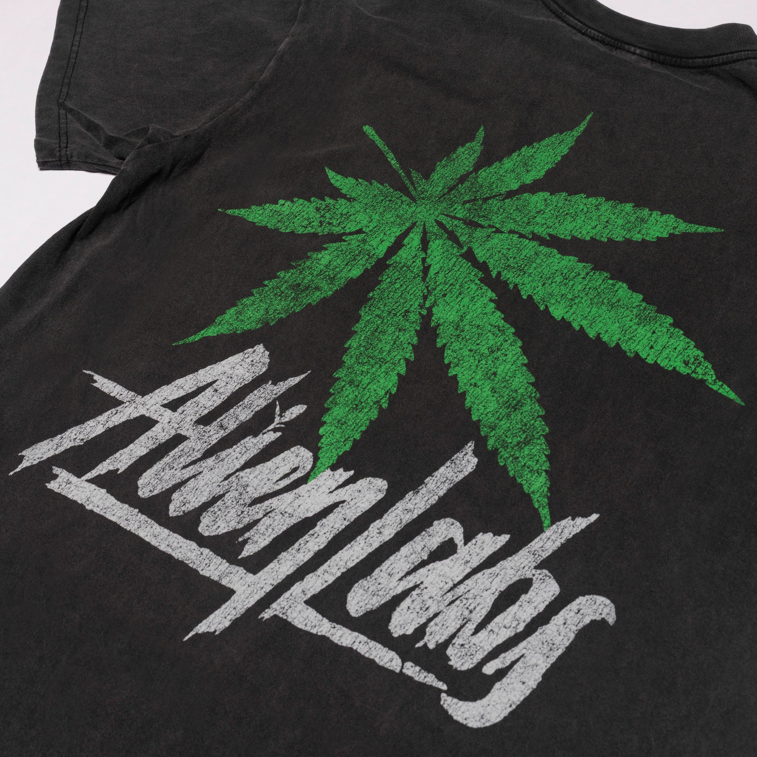 Chronic 2069 T-Shirt (Vintage Black)
