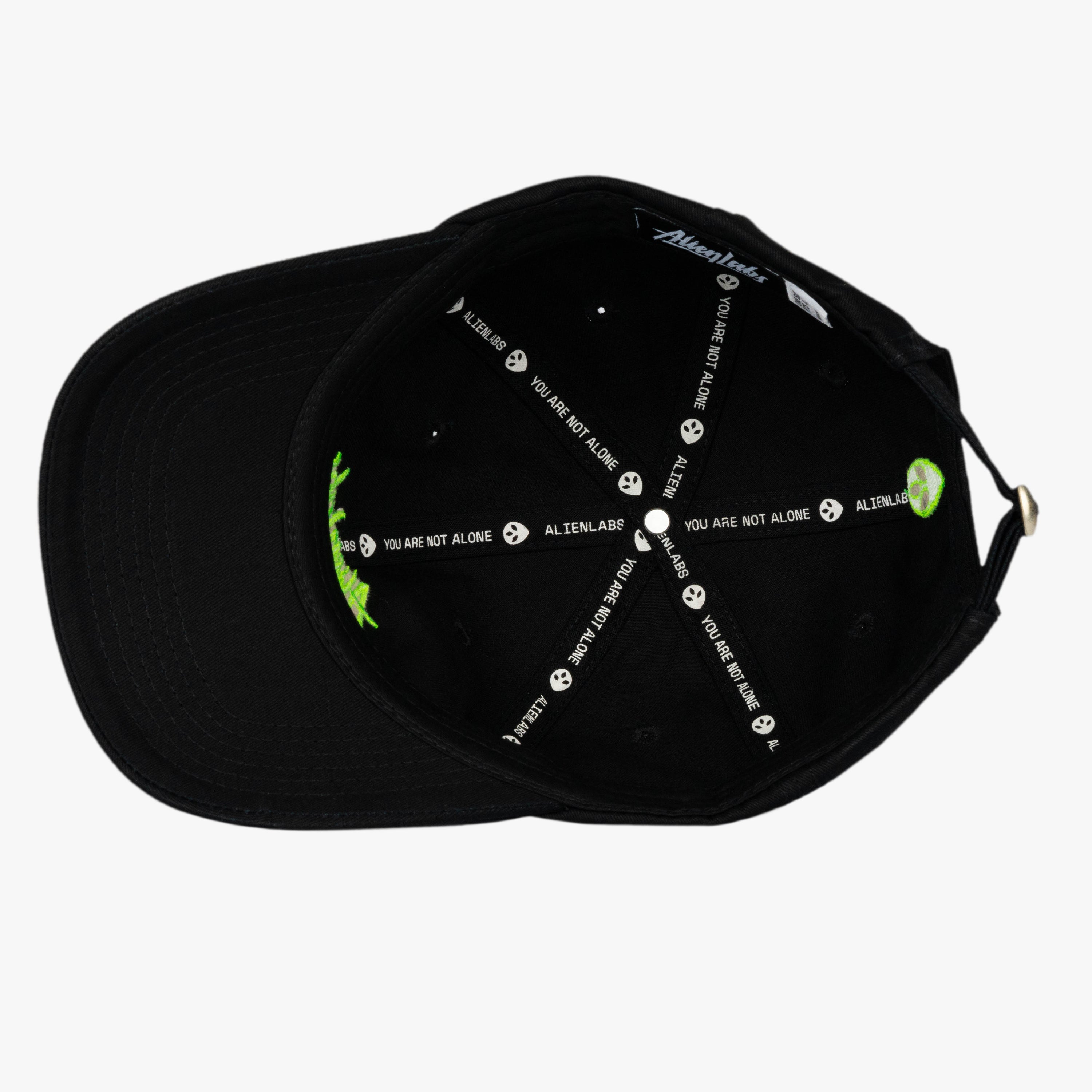 AL Logo 6 Panel Dad Hat (Black/Green)